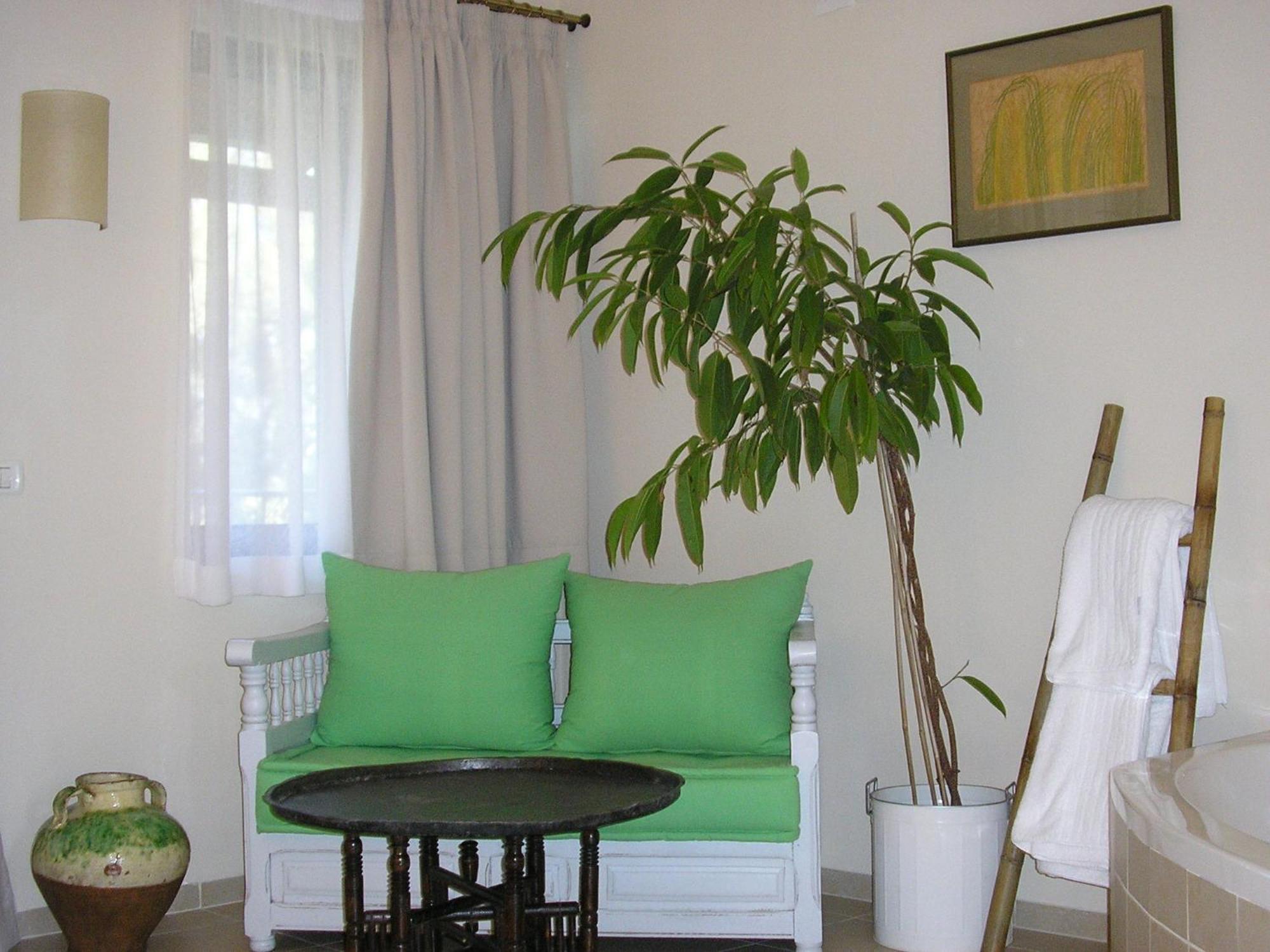 Shulamit Yard Hotel Rosh Pinna Ngoại thất bức ảnh